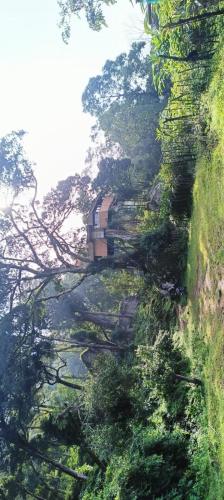 Treefort Junglestay Munnar