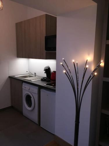 Le Lumineux - Le chic en hypercentre - Bellecour, Lyon (photo 10)