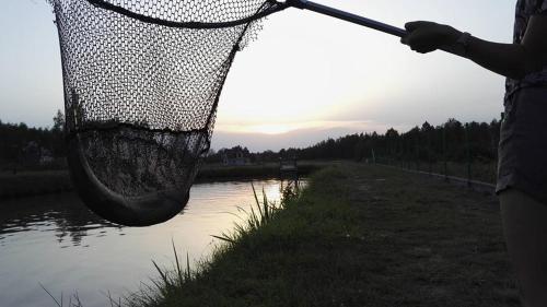 Niebo nad Łysicą