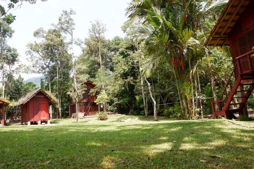 Jungle Zen Janda Baik Campsite in Janda Baik