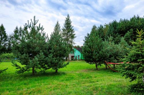 B&B Poświętne - Zielona Zagroda Agnieszka Połeć - Bed and Breakfast Poświętne