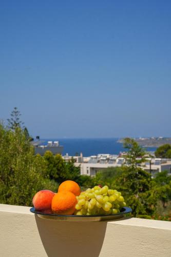  Villa Fotini with ocean view in Kalathas