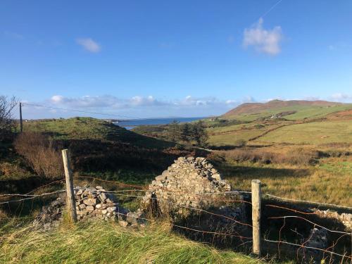 Bruíon Connemara