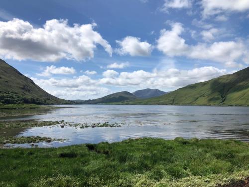 Bruíon Connemara