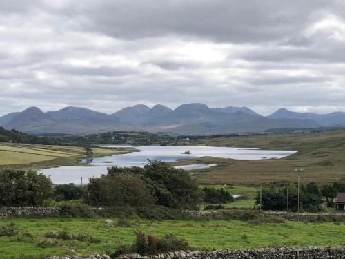 Bruíon Connemara