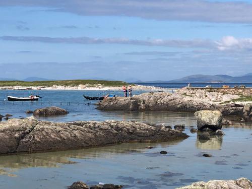 Bruíon Connemara