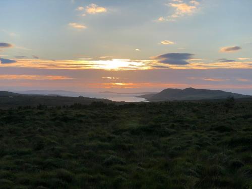 Bruíon Connemara