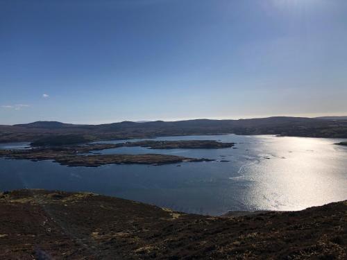 Bruíon Connemara