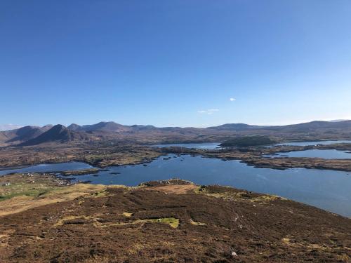 Bruíon Connemara