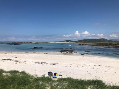 Bruíon Connemara