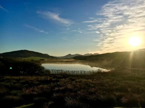 Bruíon Connemara