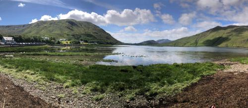 Bruíon Connemara