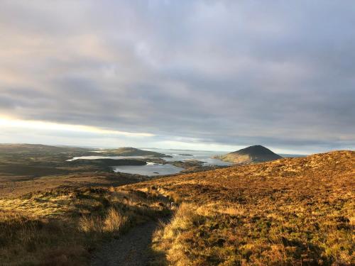 Bruíon Connemara