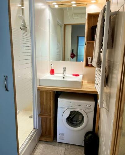 Bathroom, Le Cocon des Cimes 2 a 5 pers. in La Plagne