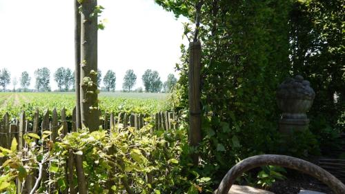B&B Hemel & Haard - image 10