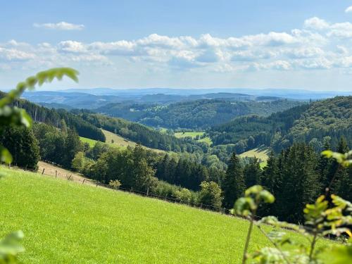 Ferienwohnung UP Willingen-Schwalefeld