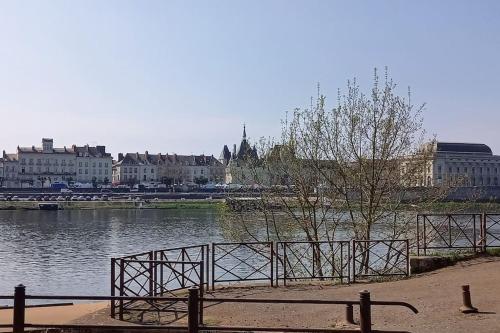 Nearby attraction, Les marronniers appartement centre Saumur bord de Loire in Ile Offard