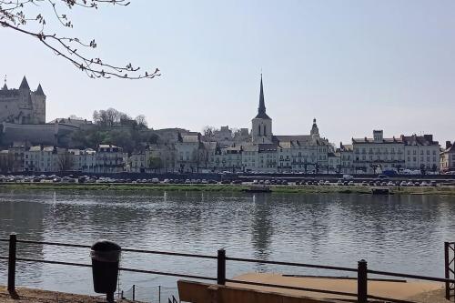 Nearby attraction, Les marronniers appartement centre Saumur bord de Loire in Ile Offard