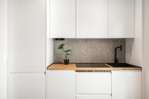 Room Canalejas - image 12