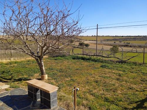 CASA RURAL EN GUADALAJARA 1 hora de Madrid - Apartment - Cercedilla