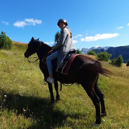 Katun Mokra accommodation & horseback riding