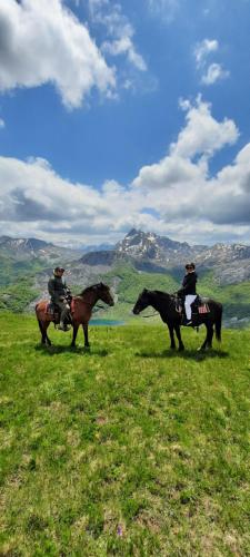 Katun Mokra accommodation & horseback riding