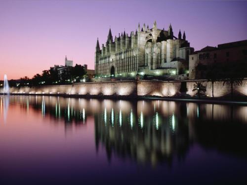 Can montis - image 5