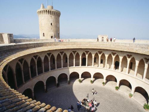 Can montis - image 9