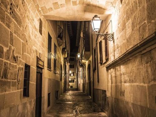 Can montis - image 12