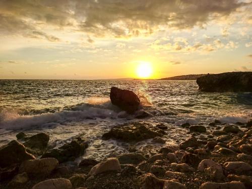 Can montis - image 4