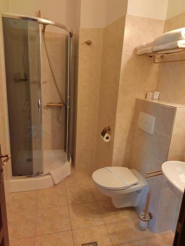 Hotel Carol - image 11