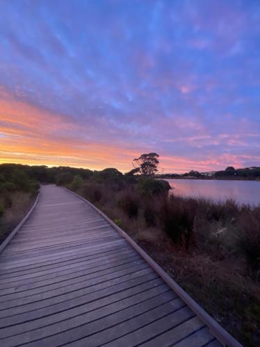 Anglesea Rivergums