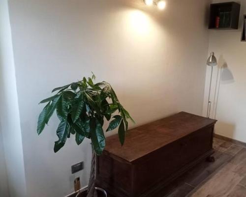 b&b La Divina Pietra in Castelnovo neʼ Monti