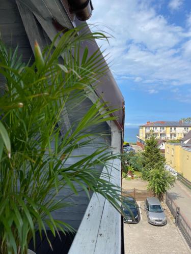 Willa Słoneczna Willa Słoneczna