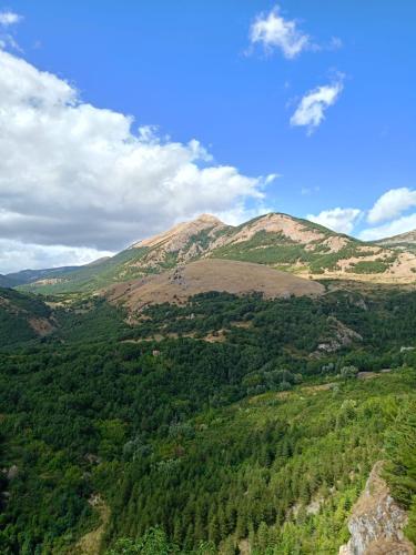 Locazione turistica" La Rupe"