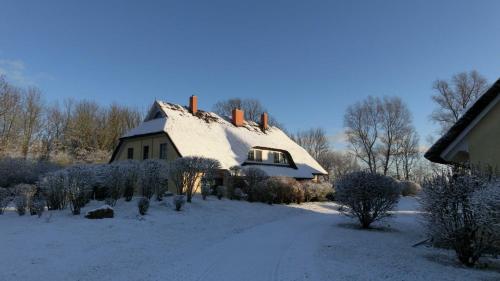Reetdachhaus Malve 3 im Feriendorf Puddeminer Wiek Reetdachhaus Malve 3 im Feriendorf Puddeminer Wiek