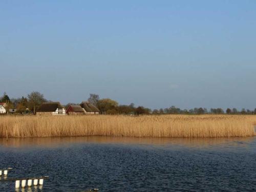 Reetdachhaus Malve 3 im Feriendorf Puddeminer Wiek Reetdachhaus Malve 3 im Feriendorf Puddeminer Wiek
