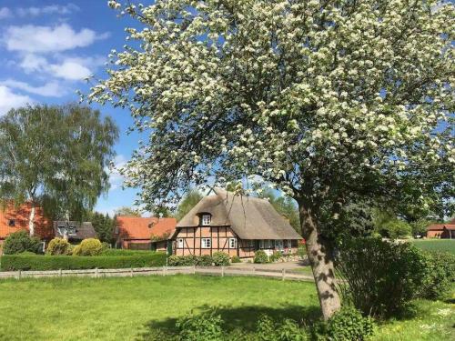 Haus Ruhe unter Reet in Schmiedendorf, Deutschland