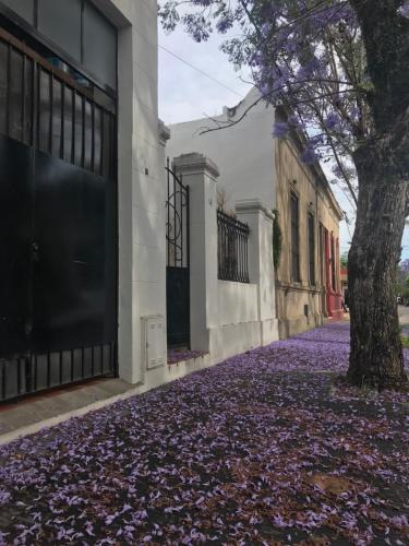 El Jacarandá, relax, en Chascomús