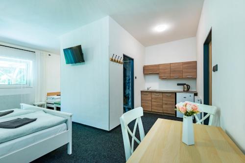 Pension u Jezu Room Type - Apartment