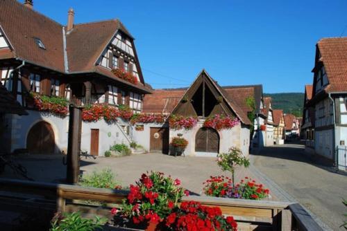 Gîte Vignoble de Cléebourg - Location saisonnière - Cleebourg