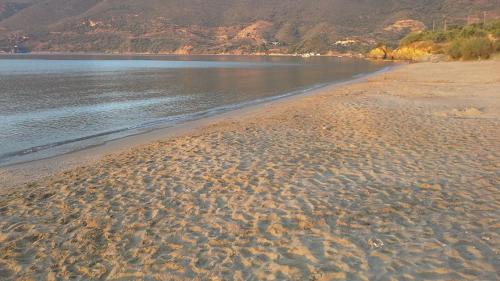 Kavoulakos Studios