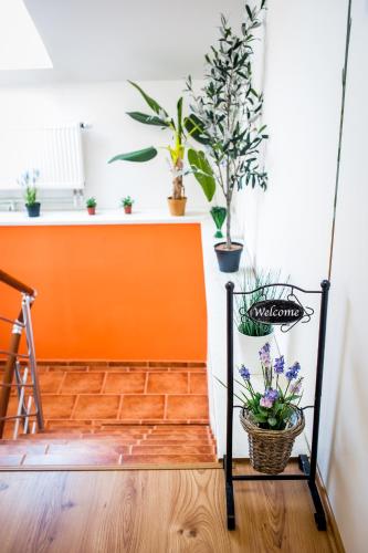 Entrance, Apartmany Batelov in Horní Cerekev