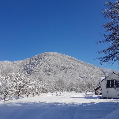 Casa din livada Borlova