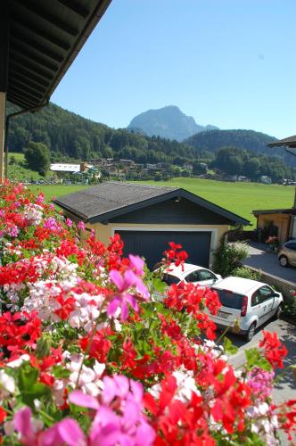 Gästehaus Sunkler - main image