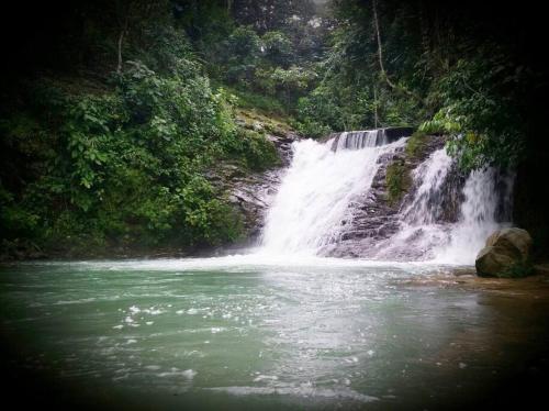 Pura Natura Lodge Arroyo