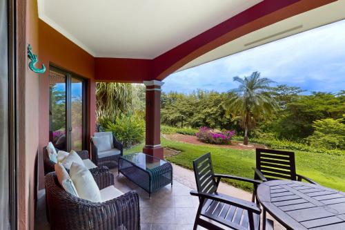 Bougainvillea 2101 photo 3