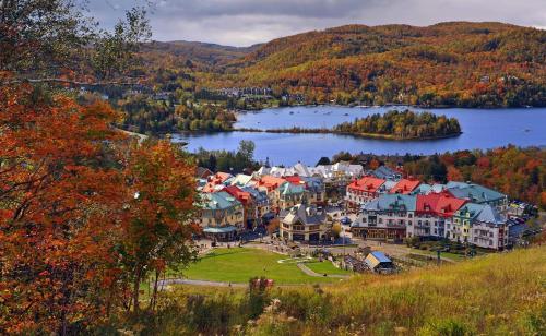 Le Boisé (Les Manoirs) Mont-Tremblant - image 3
