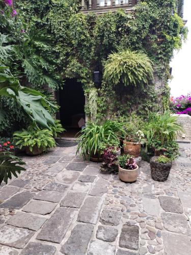 489075407 Hacienda Las Amantes