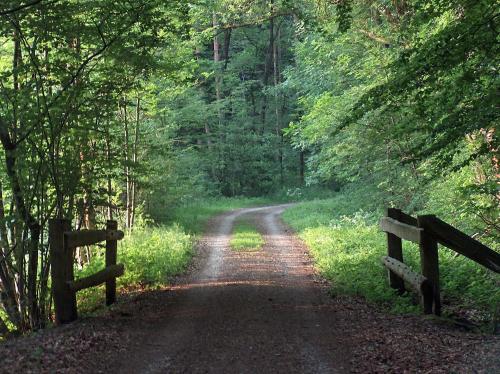 Landhotel Ridder - image 6